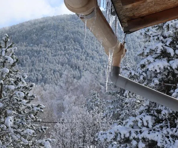 Les Gentianes, Au Pied Des Pistes Apartman